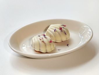 Chocolate Madeleine
