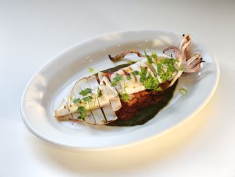 Grilled Squid