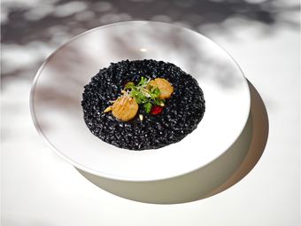 Risotto with Cuttlefish and Scallop