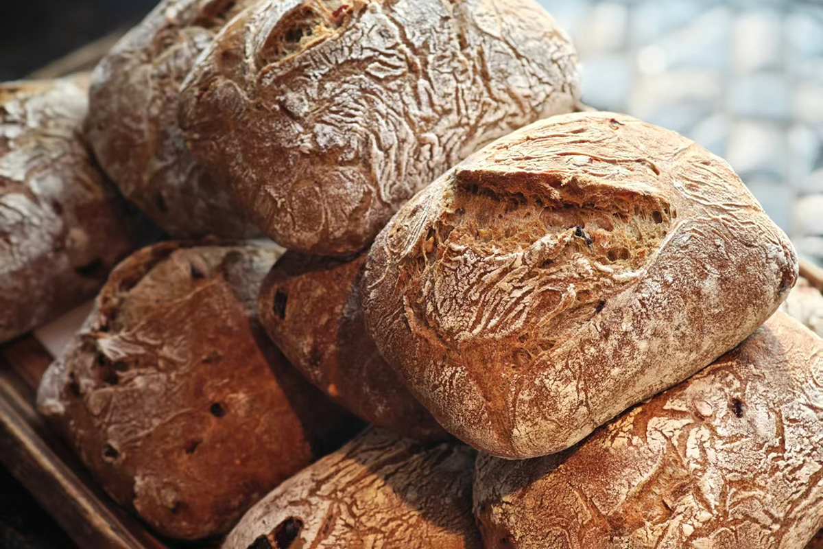 Ciabatta